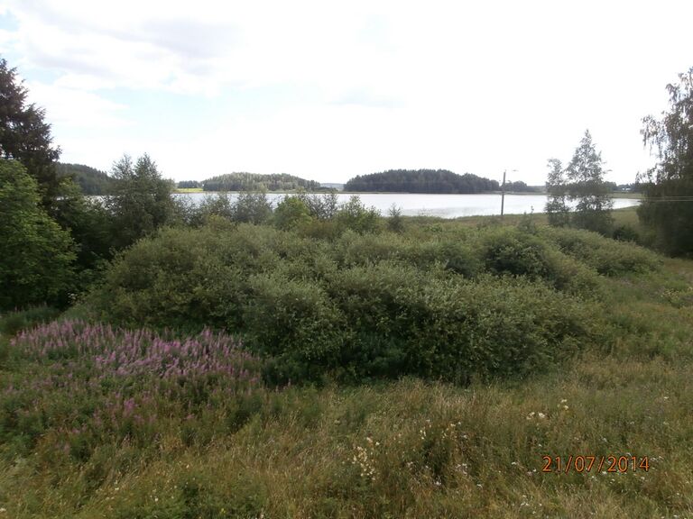 Kylänpaanjarvi lintutornista.JPG