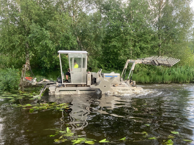 Teuronjoen alaosan alue (35.831)-Rotarien sinileväseuranta (Teuronjoki)-ObsIMG-202507251038-1753429764388.png