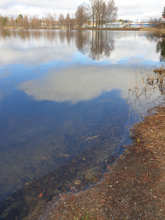 Urpolanjoen valuma-alue (04.152)-Vanha Uimaranta-ObsIMG-202304281028-644b755401e3e.png