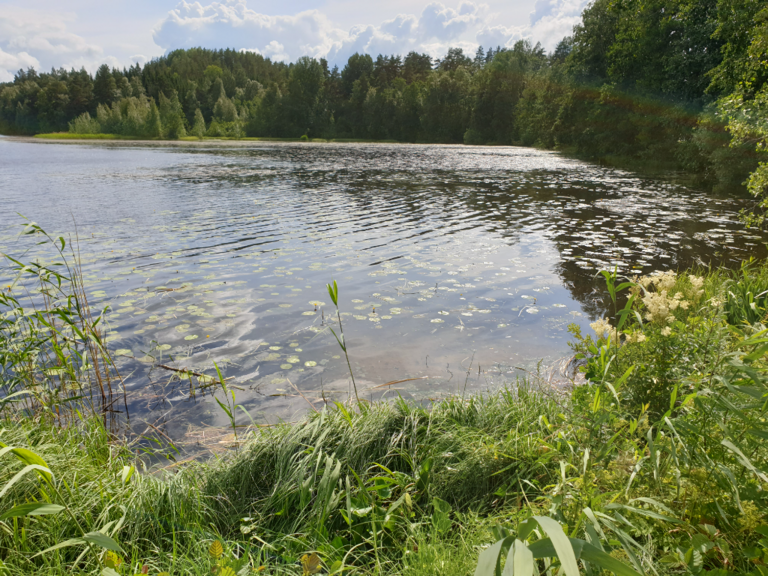 Urpolanlampi (04.152.1.001)-Uusi hulevesiputki-ObsIMG-202407051457-668abed3ba7cb.png