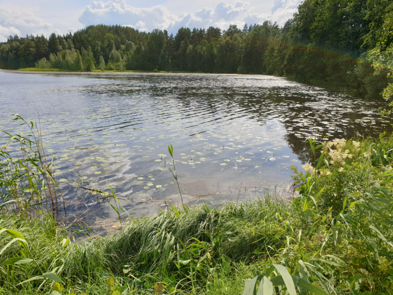 Tiedosto:Urpolanlampi (04.152.1.001)-Uusi hulevesiputki-ObsIMG-202407051457-668abed3ba7cb.png