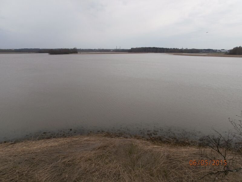 Tiedosto:Fastholman lintutornista.JPG