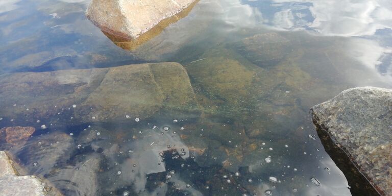 Hankmo-Värlax-Havaintopaikka 2-ObsIMG-202007171231-86.jpg