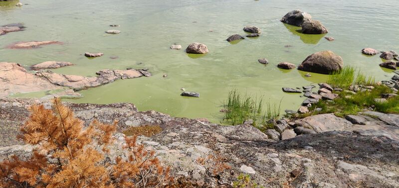 Tiedosto:Porkkala itä-Stora Brändö-ObsALG-201807121400-89.jpg