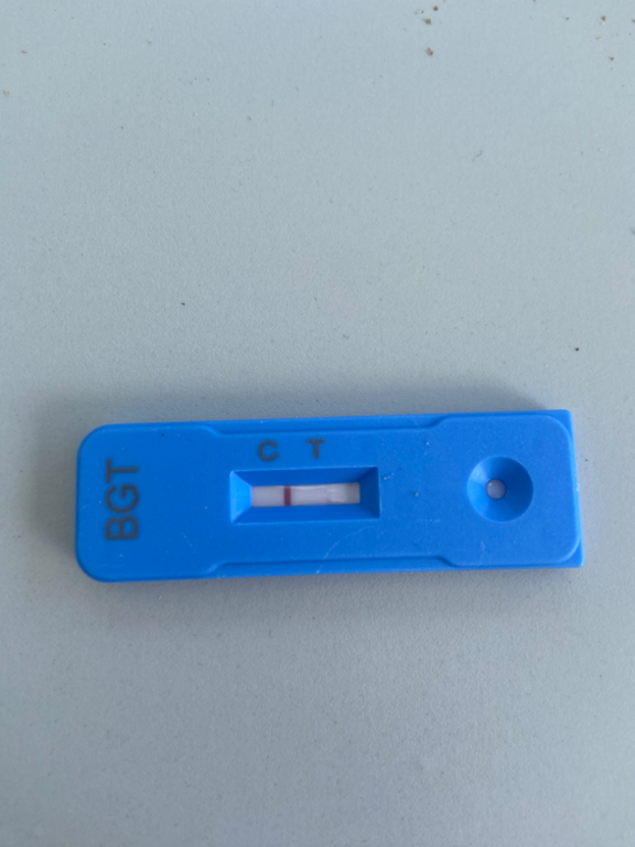 Rauman edusta-Otanlahti-ObsALG-202407161143-669632f436302.png