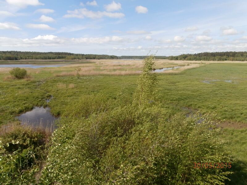 Tiedosto:Ruskiksen lintutornista 1.JPG