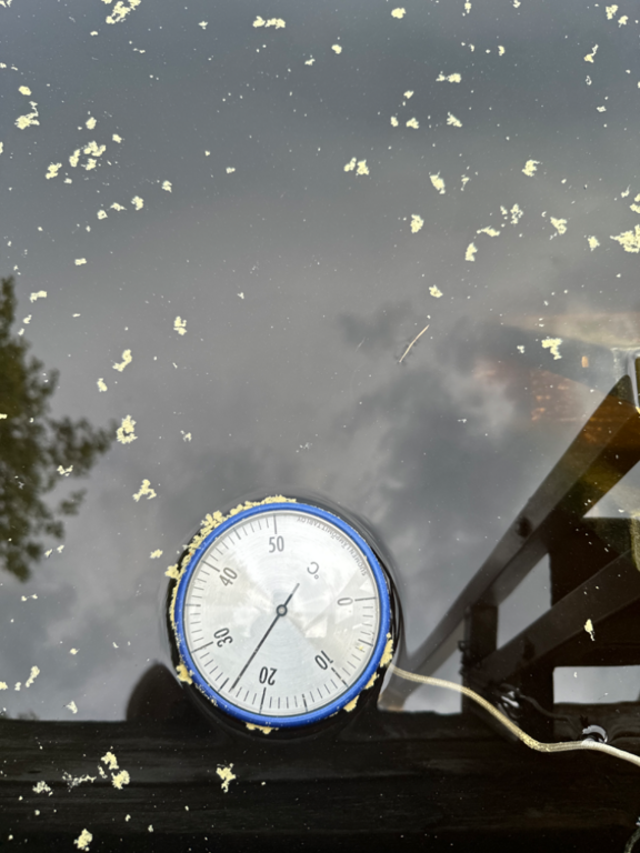 Ukonvesi (Saimaa) (04.151.1.001)-Koivukummunpolku-ObsTEMP-202405271917-6654b26bf218e.png