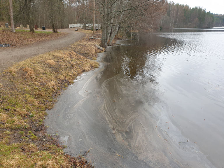 Urpolanlampi (04.152.1.001)-Kartanon uimaranta-ObsIMG-202304270920-644a144425269.png