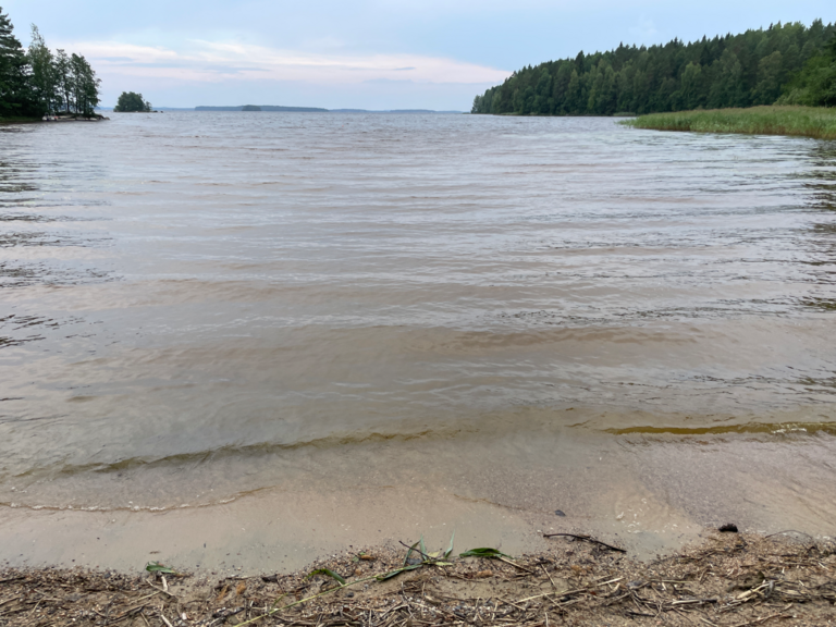 Kallavesi (yhd.)-Vaajasalo, eteläranta-ObsALG-202507311836-688b8e2e5de0c.png