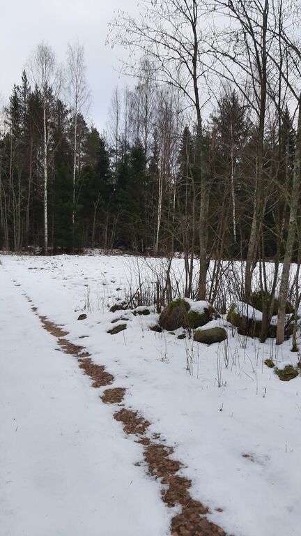 Muurasjärven alue (14.482)-Muurasjärvi, Varvikko-ObsSNOW-202012111400-80.jpg