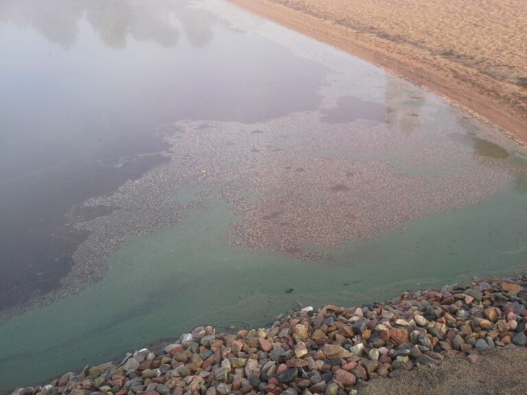 Pöyliöjärvi 6.9..jpg