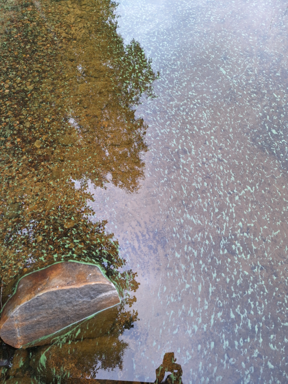 Pihlajavesi (Saimaa) (04.121.1.001)-Kourulahti-ObsALG-202507030918-1751523702794.png