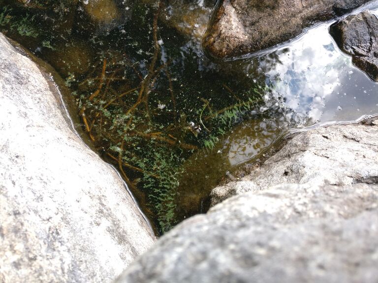 Kuohijärvi (35.782.1.001)-Havaintopaikka 2-ObsIMG-202007211239-5.jpg