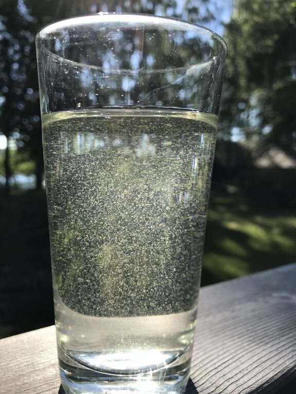 Mannervesi-Valtakunnallinen sinileväseuranta (Iso Marjakari)-ObsALG-201807100900-2.jpeg