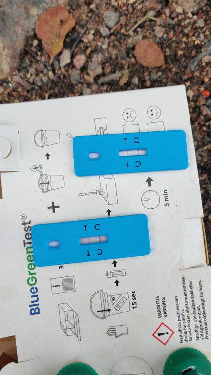 Seurasaari-Rajasaaren koirapuisto ja uimaranta-ObsIMG-202008061730-75.jpeg