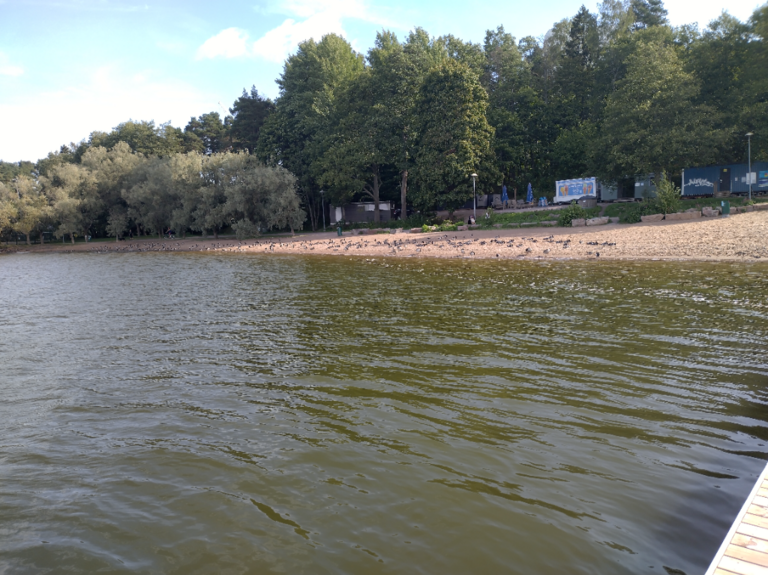 Espoonlahti-Rotarien sinileväseuranta (Kivenlahden uimaranta)-ObsIMG-202308161015-64dc93bee75ac.png