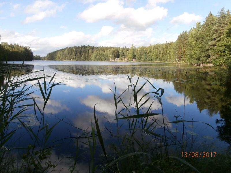 Tiedosto:Iso Salmijarvi.JPG