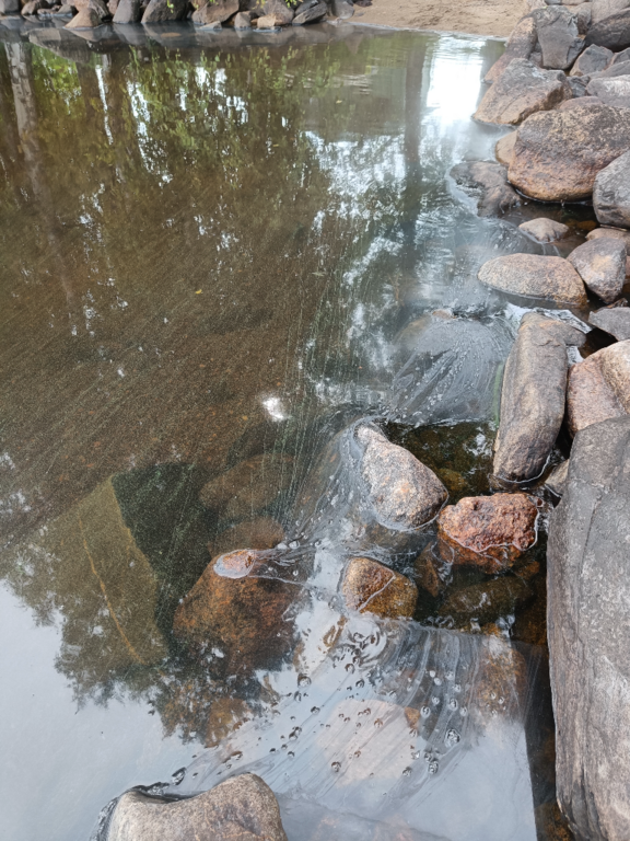 Lappajärven lähialue (47.031)-Havaintopaikka 1-ObsIMG-202207131623-62cec80335e6b.png