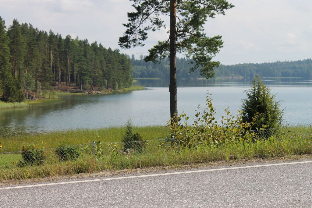 Näkymä Evitskogintieltä etelään.JPG