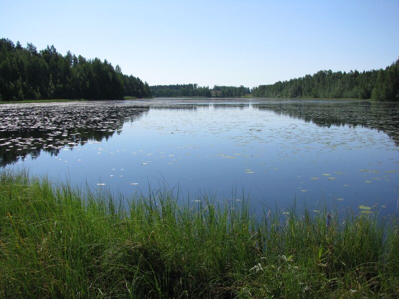 Tiedosto:Perälammi.JPG