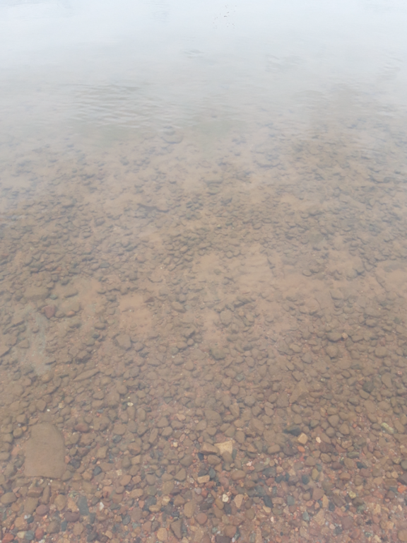 Pyhäjärvi (34.031.1.001)-Valtakunnallinen sinileväseuranta (Katismaan uimaranta)-ObsALG-202108171409-611b9d3839a67.png