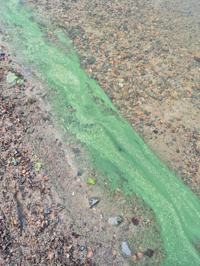 Saimaa (04.112.1.001)-Kalikkaluodot Kerisalmi -ObsIMG-202506281206-685fb82ea3dce.png