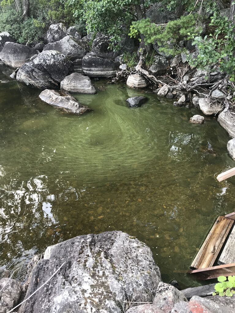 Suvasvesi (04.273.1.001)-Jänissalo KuPSin saaristotukikohta-ObsALG-202007291823-78.jpg