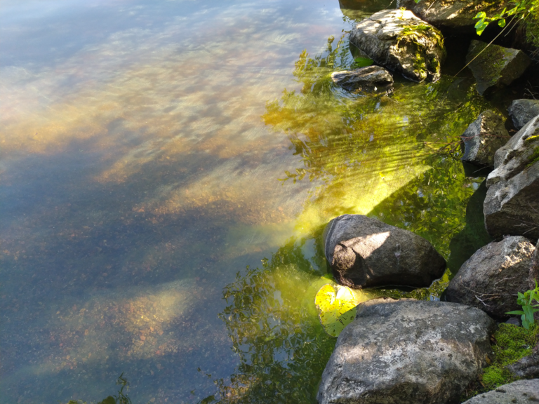 Äimäjärvi (35.262.1.001)-Sääksniemi-ObsALG-202407130918-66922d5ff1f59.png