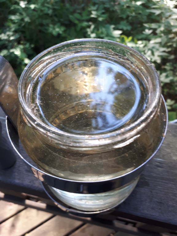 Kallavesi (yhd.)-Rotarien sinileväseuranta (Puutossalmi)-ObsALG-202206280943-62bb4013dc19a.png