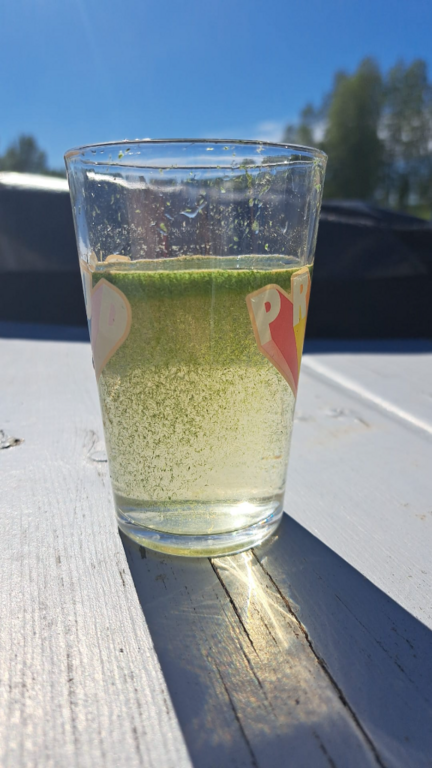 Lappajärvi (47.031.1.001)-Kivitipun uimaranta-ObsALG-202405261518-665328fd02c70.png