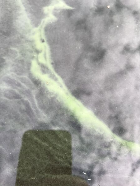 Tiedosto:Mätikkö (35.162.1.001)-Sirkanmaa-ObsIMG-202007301107-55.jpeg