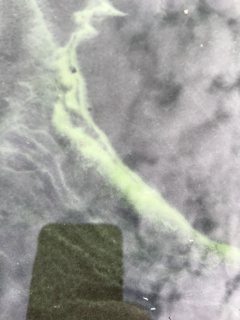 Mätikkö (35.162.1.001)-Sirkanmaa-ObsIMG-202007301107-55.jpeg