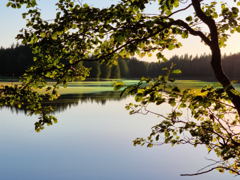 Suuri Herajärvi (04.211.1.010)-Havaintopaikka 1-ObsIMG-202107031809-60e07ef29deca.png