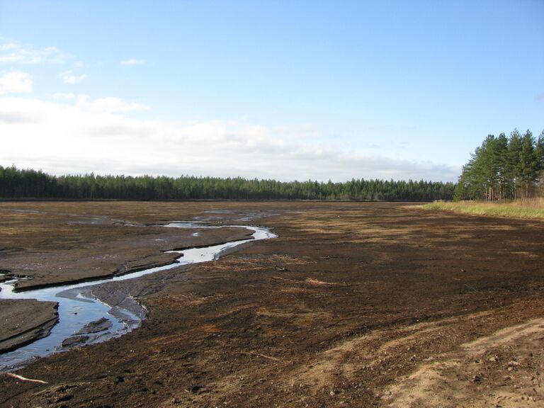 Kourinjärvi 2587.JPG