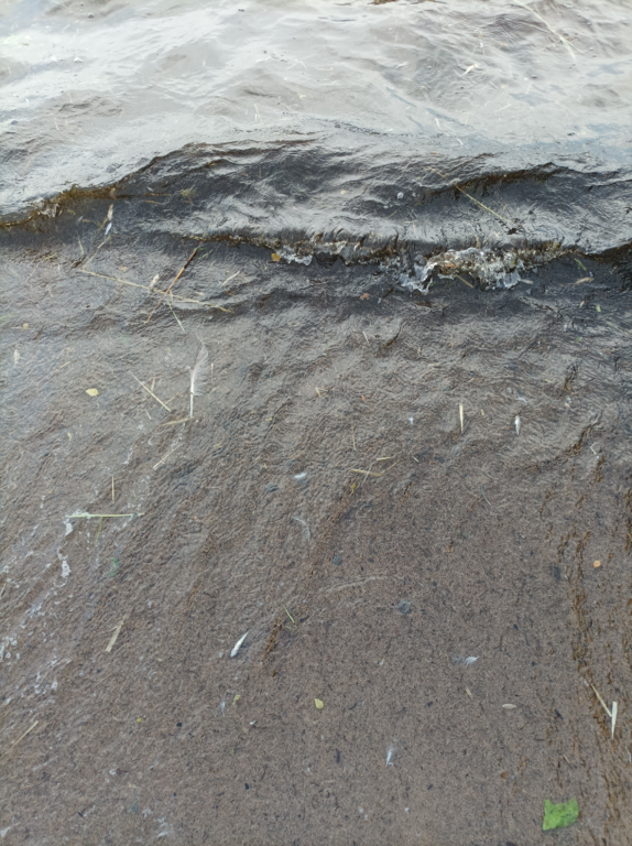 Lappajärvi (47.031.1.001)-Valtakunnallinen sinileväseuranta (Kivitippu)-ObsALG-202107061841-60e47a5189825.png