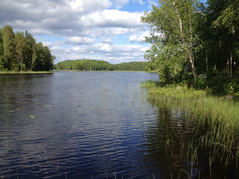 Tiedosto:Sammallahti1.jpg