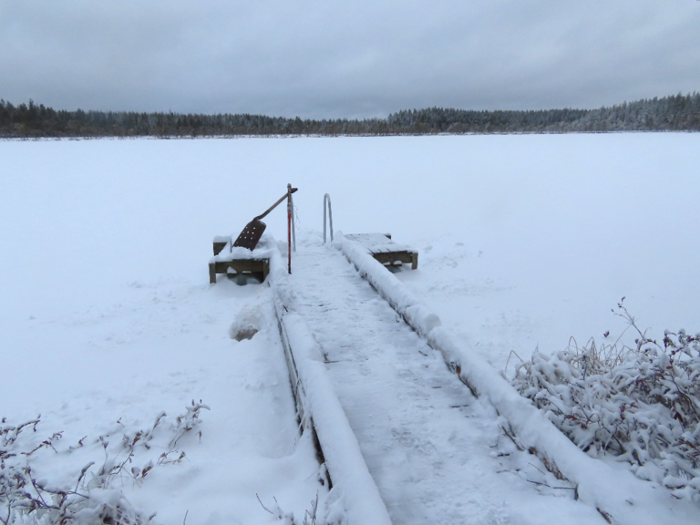 Lokkilampi (04.488.1.007)-Havaintopaikka 1-ObsIMG-202111241058-619dff0375a9f.png