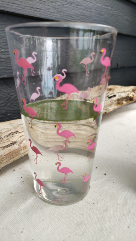 Pyhäjärvi (34.031.1.001)-Alhonranta-ObsALG-202106161339-60c9d51385e57.png