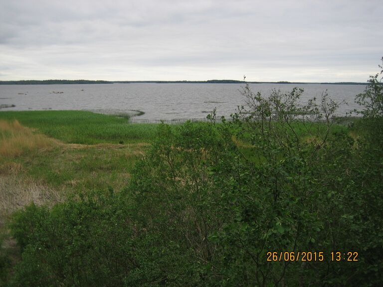 Sautinkarin lintutornista.JPG