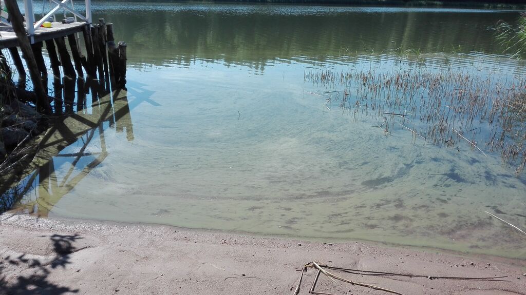 Halikonlahden pohjoinen haara-Nuuttiniemen lahti-ObsIMG-201807151018-79.jpg