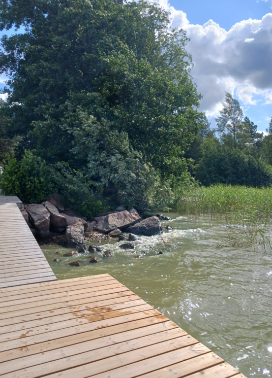 Pyhäjärvi (16.003.1.001)-Pyykkiniekan uimaranta-ObsIMG-202307181108-64b64886df86f.png