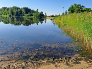 Raahen edusta-Valtakunnallinen sinileväseuranta (Pikkulahti, uimaranta)-ObsALG-202507231657-1753279382780.png