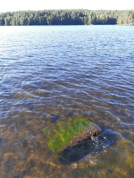 Tiedosto:20230709 185406.jpg