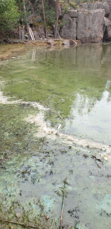 Hakkenpää - Tuulvesi-Kuljunmaa-ObsALG-202308251747-64e8bfad627a8.png