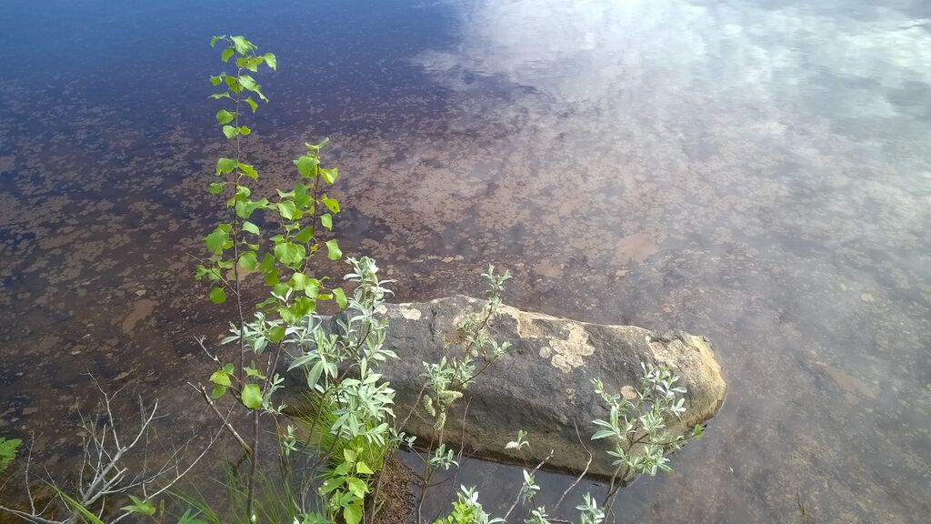 Himmerki 11.7.2017.jpg