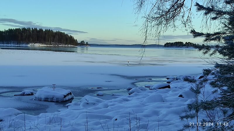 Tiedosto:IMG 20241221 114251.jpg