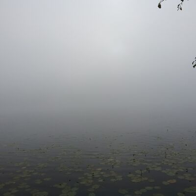 IMG 20250822 075934444.jpg