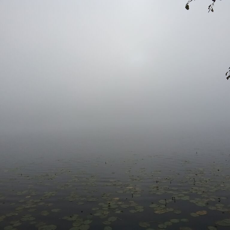 IMG 20250822 075934444.jpg