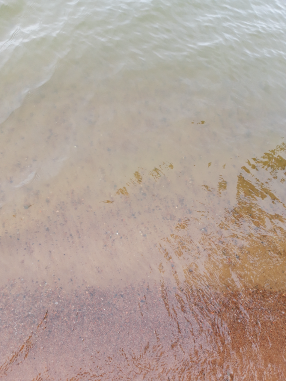 Köyliönjärvi (34.054.1.001)-Valtakunnallinen sinileväseuranta (Yttilän Otta)-ObsALG-202109071530-61375f864c1b4.png