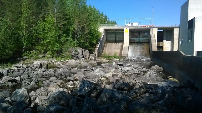 WP 20150706 10 24 14 Pro.jpg